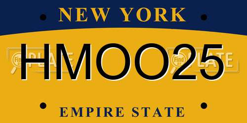 HMOO25 New York License Plate