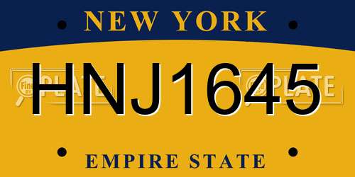 HNJ1645 New York License Plate