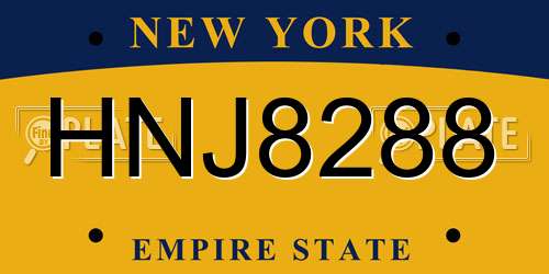 HNJ8288 New York License Plate