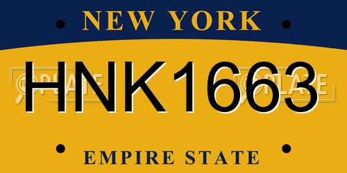 HNK1663 New York License Plate