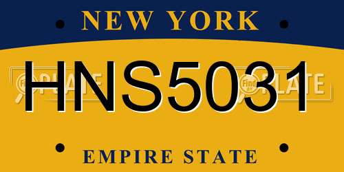 HNS5031 New York License Plate