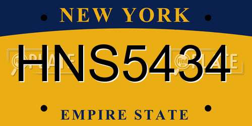 HNS5434 New York License Plate
