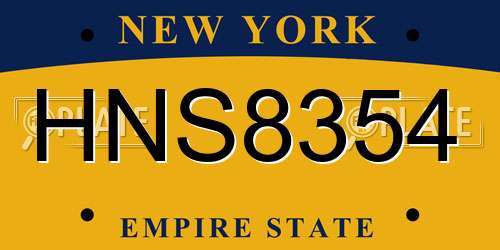 HNS8354 New York License Plate