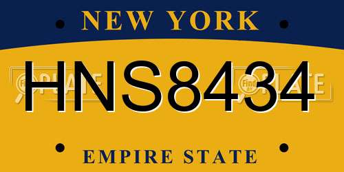 HNS8434 New York License Plate