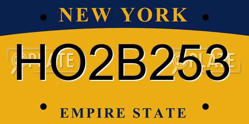 HO2B253 New York License Plate