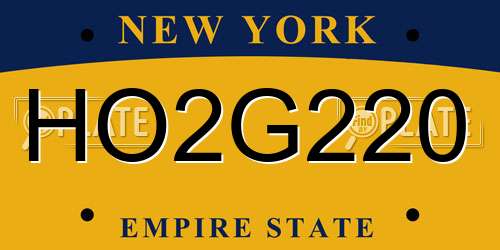 HO2G220 New York License Plate