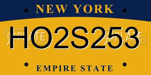 HO2S253 New York License Plate