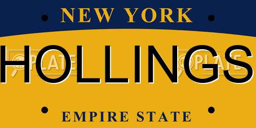 HOLLINGS New York License Plate