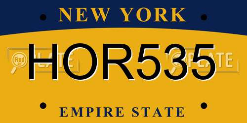 HOR535 New York License Plate