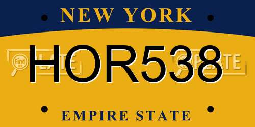 HOR538 New York License Plate