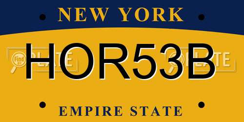 HOR53B New York License Plate