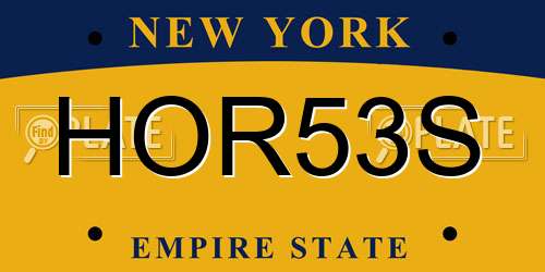 HOR53S New York License Plate