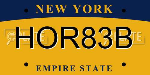 HOR83B New York License Plate