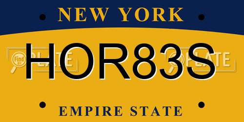 HOR83S New York License Plate