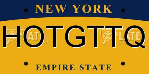 HOTGTTQ New York License Plate