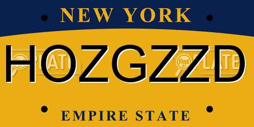 HOZGZZD New York License Plate