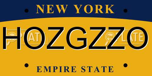 HOZGZZO New York License Plate