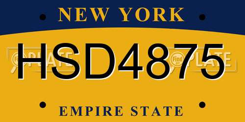 HSD4875 New York License Plate