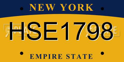 HSE1798 New York License Plate