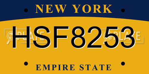 HSF8253 New York License Plate