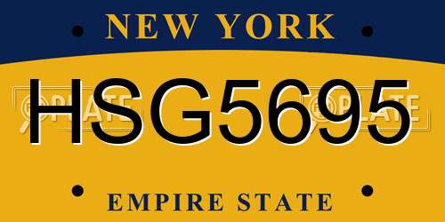 HSG5695 New York License Plate