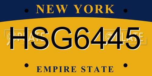 HSG6445 New York License Plate