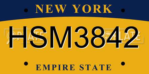 HSM3842 New York License Plate