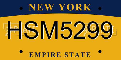 HSM5299 New York License Plate