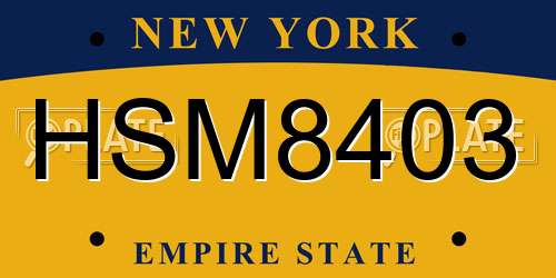 HSM8403 New York License Plate