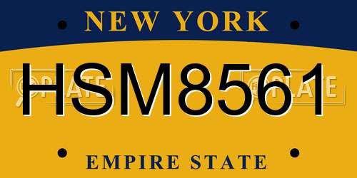 HSM8561 New York License Plate