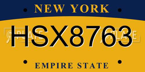 HSX8763 New York License Plate