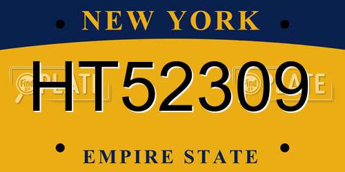 HT52309 New York License Plate