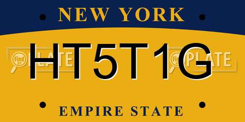 HT5T1G New York License Plate