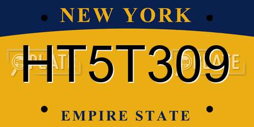 HT5T309 New York License Plate