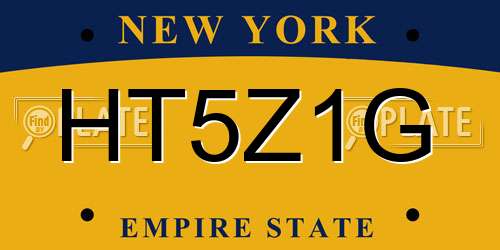 HT5Z1G New York License Plate