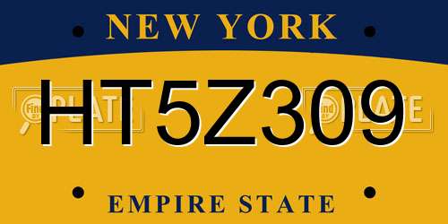 HT5Z309 New York License Plate