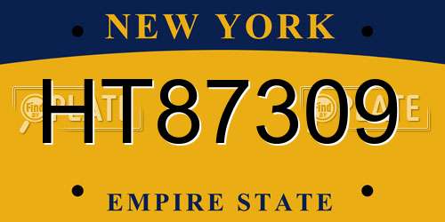 HT87309 New York License Plate