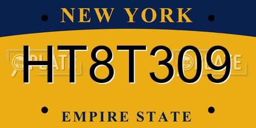 HT8T309 New York License Plate