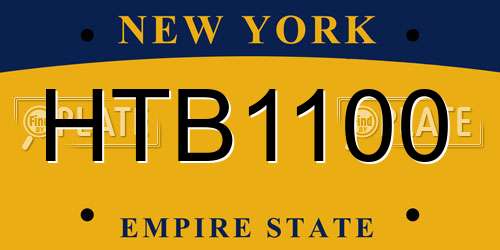 HTB1100 New York License Plate