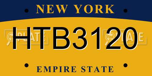 HTB3120 New York License Plate