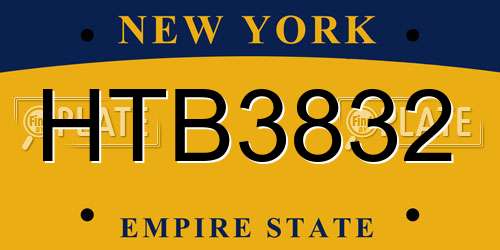 HTB3832 New York License Plate
