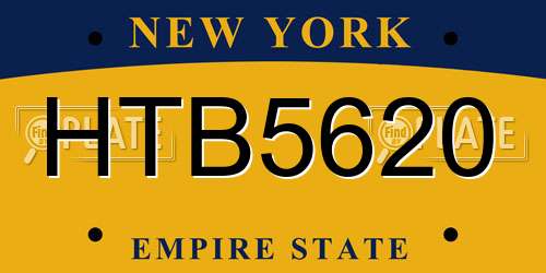 HTB5620 New York License Plate
