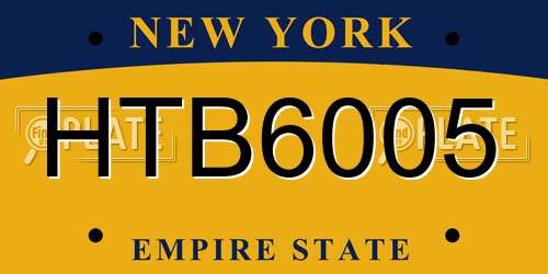 HTB6005 New York License Plate