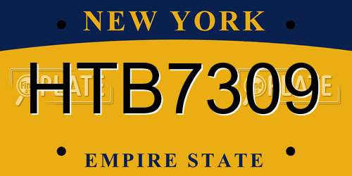 HTB7309 New York License Plate