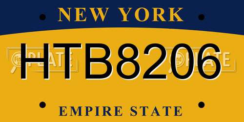 HTB8206 New York License Plate