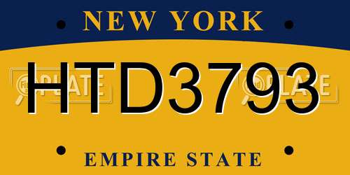 HTD3793 New York License Plate