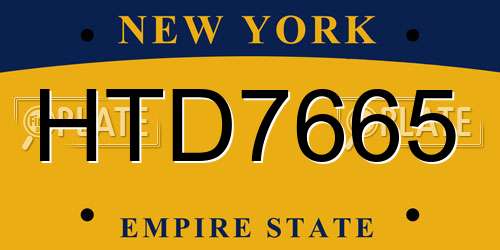 HTD7665 New York License Plate