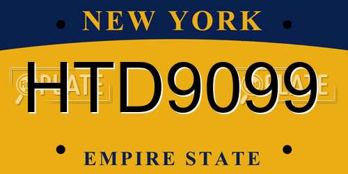 HTD9099 New York License Plate