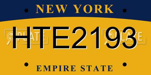 HTE2193 New York License Plate