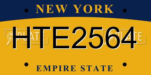 HTE2564 New York License Plate